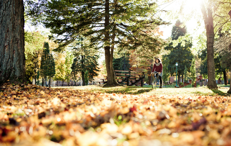 6 Autumn Essentials for your Health